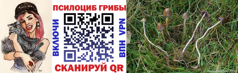 гидра вход  Жуковка  Галлюциногенные грибы GOLDEN TEACHER  наркота 