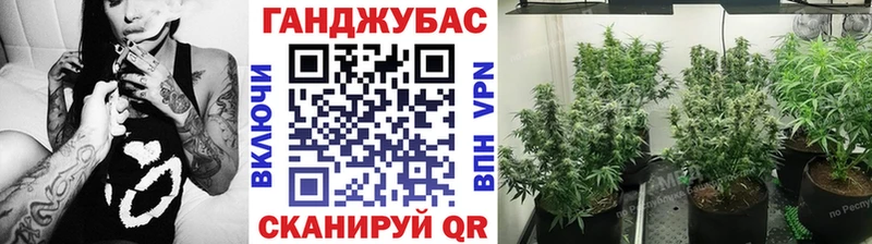 МЕГА ТОР  Жуковка  Каннабис VHQ 